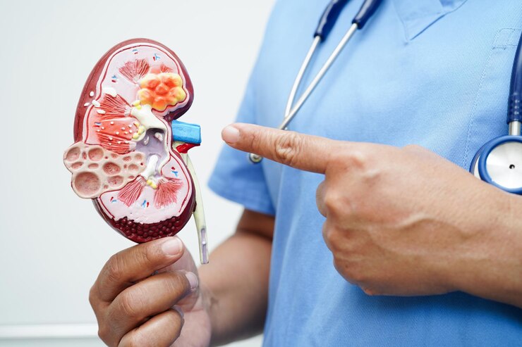 Nephrology Medical Billing Services