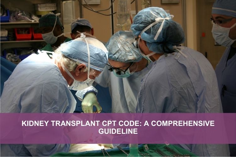 Kidney Transplant CPT Code